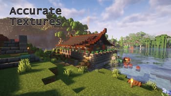 Accurate Textures screenshot