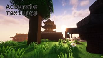 Accurate Textures screenshot