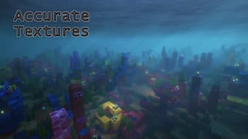 Accurate Textures screenshot