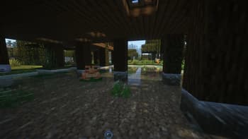 Old fisherman swamp house screenshot