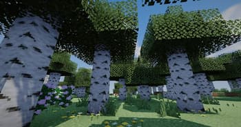 Crownlight Shader screenshot