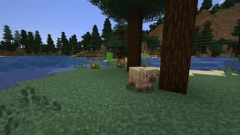 Perfect Parity: Spring To Life Edition screenshot
