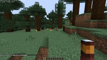 LAHORI_PLAYZ screenshot