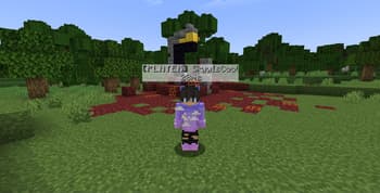 DisplayTags screenshot