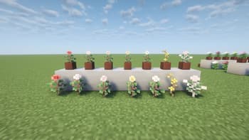 Ornamental Plants screenshot