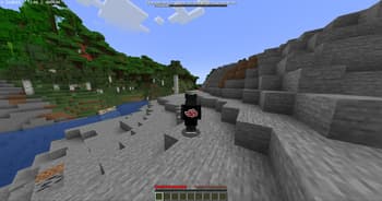 B-RTP screenshot