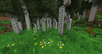 Wilderness screenshot