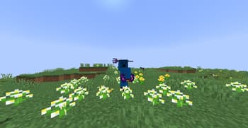 PvP Sora screenshot