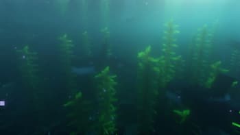 Ocean Depths screenshot