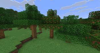 MoreTrees screenshot