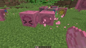 Bocchi the Sulfur Cube! screenshot