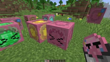 Bocchi the Sulfur Cube! screenshot