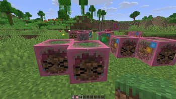 Bocchi the Sulfur Cube! screenshot