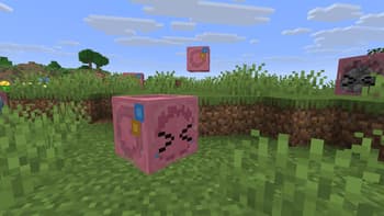 Bocchi the Sulfur Cube! screenshot