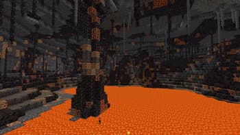 Subterranean Wilderness Revival screenshot