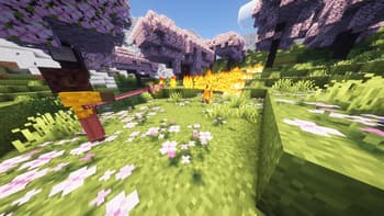AvM Staff screenshot