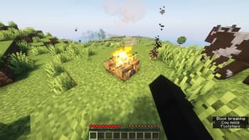 Enhanced Survival screenshot