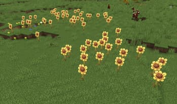 Golden Sunflowers screenshot