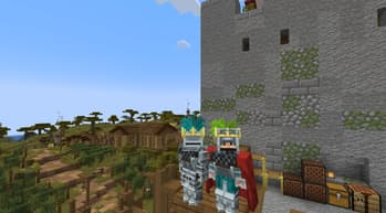 Knights & Heraldry screenshot