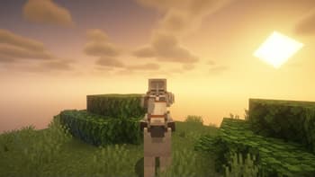 Knights & Heraldry screenshot