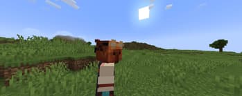 AFK Camera screenshot
