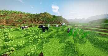Sylbobek's Shader Pack screenshot