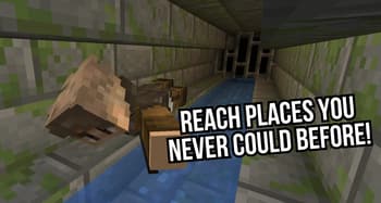 EasyCrawl screenshot