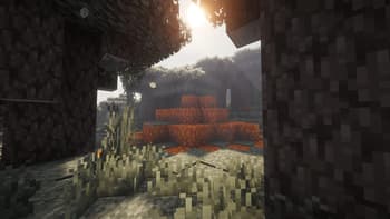 Sincerelyuq's Overhaul screenshot