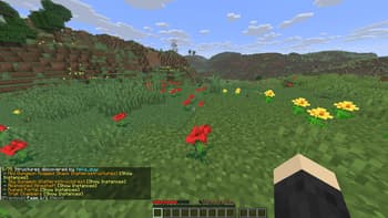 Structure Explorer screenshot