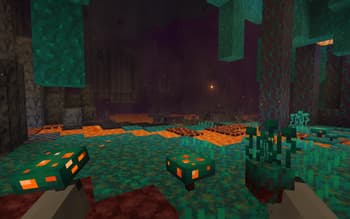 Fresh Flowers and Plants screenshot