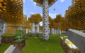Fresh Flowers and Plants screenshot