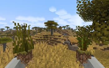 Fresh Flowers and Plants screenshot