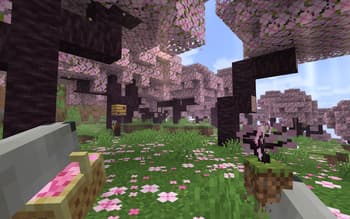 Fresh Flowers and Plants screenshot