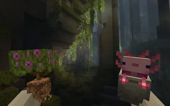 Fresh Flowers and Plants screenshot