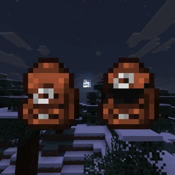 Backpack Bundles! screenshot
