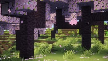 Jones screenshot