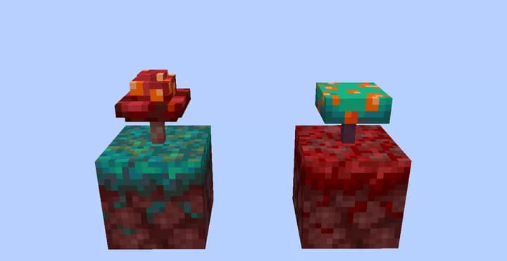Nature Revamp screenshot