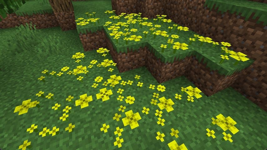 Flower Power screenshot