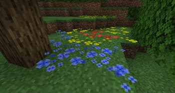 Flower Power screenshot