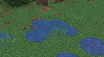 Puddles & Floods screenshot