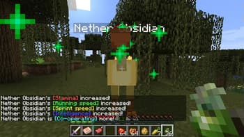 ChocoCraft Plus screenshot