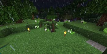 Resource Fixes & Tweaks screenshot
