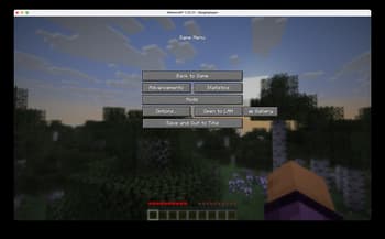 Screenshot Manager Enhanced screenshot