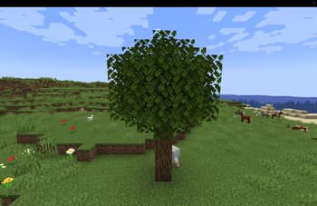 FancyWind and Waves screenshot