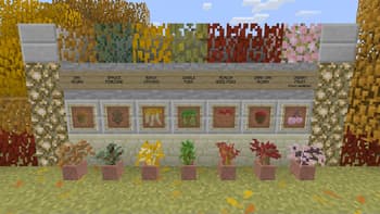 AutumnPack: Programmer Art Edition screenshot
