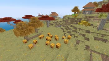 AutumnPack: Programmer Art Edition screenshot