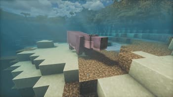 Animalia Exotica screenshot