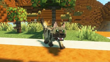 Wild Wolves x Fresh Animations screenshot