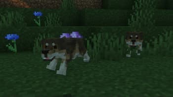Wild Wolves x Fresh Animations screenshot