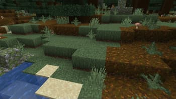 Simple Lower Grass Sides screenshot